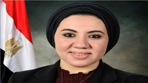  النائبة أميرة صابر