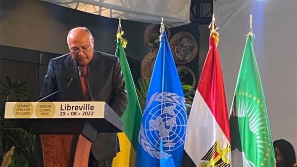 سامح شكري وزير الخارجية