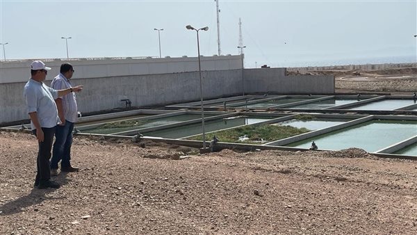 رئيس الصرف الصحي