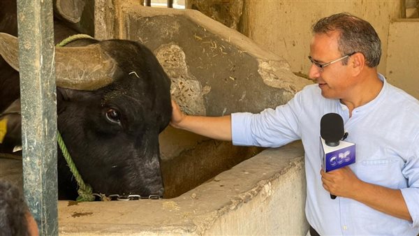 جابر القرموطي