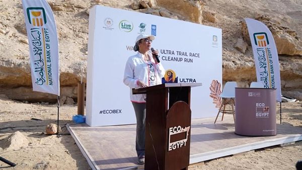 ياسمين فؤاد وزيرة