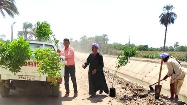 جانب من الزراعة