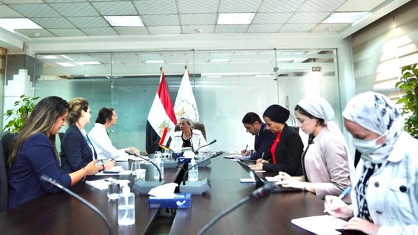 ياسمين فؤاد وزيرة