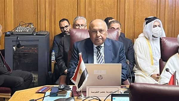 سامح شكري وزير الخارجية