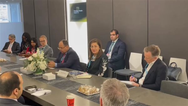 هالة السعيد وزيرة