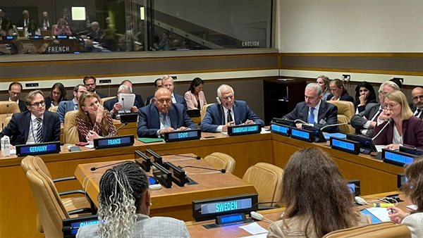 سامح شكري وزير الخارجية