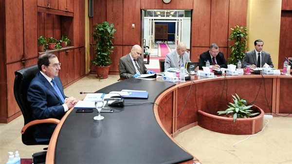 وزير البترول والثروة