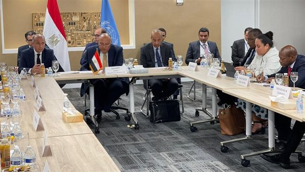 سامح شكري وزير الخارجية