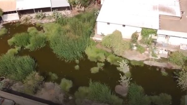 مشرحة البشائر 