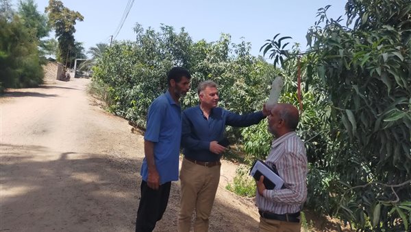 جانب من الحدث