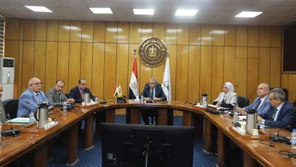 حسن شحاتة وزير القوى