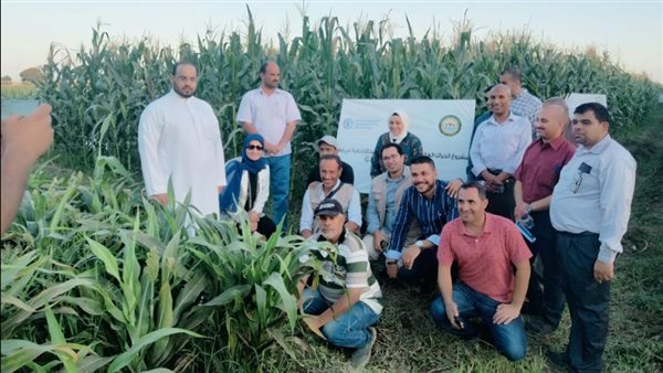 أنشطة المعهد