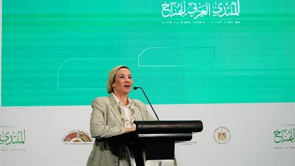 ياسمين فؤاد وزيرة