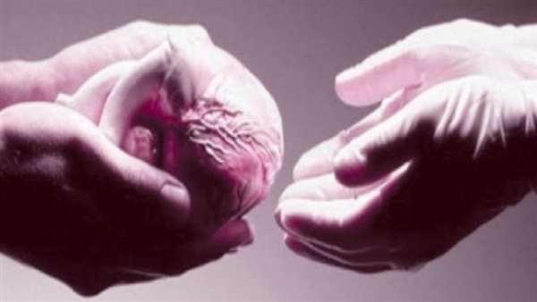 صورة ارشيفية