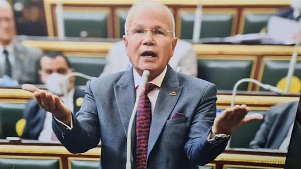  النائب السيد شمس