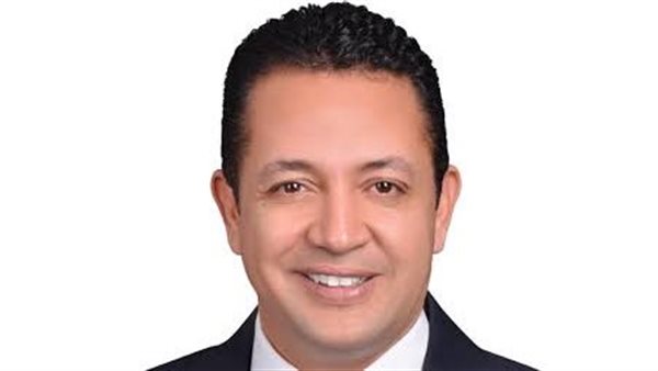 محمد احمد سلامة 