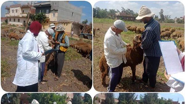 جانب من التحصين