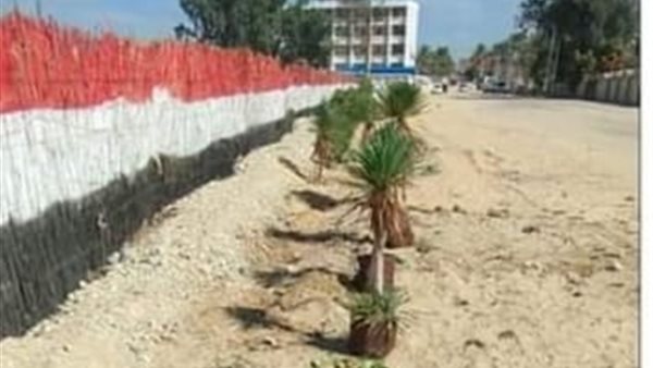 صورة من الحدث 