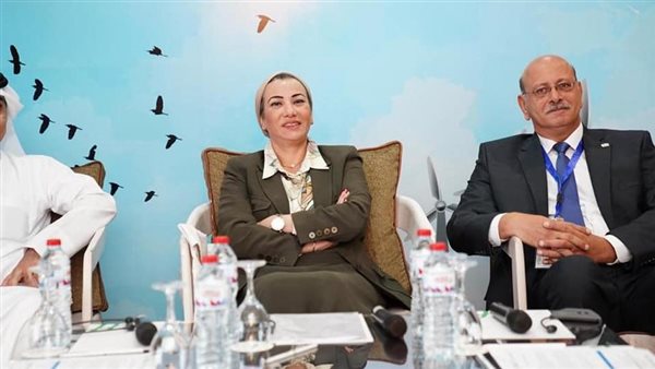 ياسمين فؤاد وزيرة