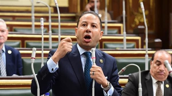 النائب حسن عمار 