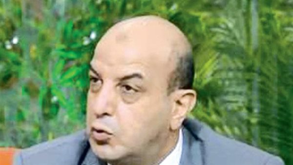 المهندس عبدالمنعم