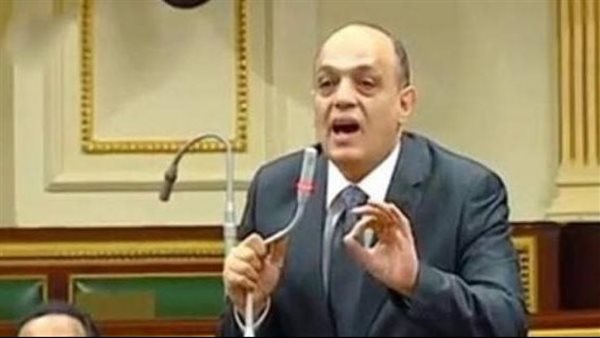 النائب محمد مرعي