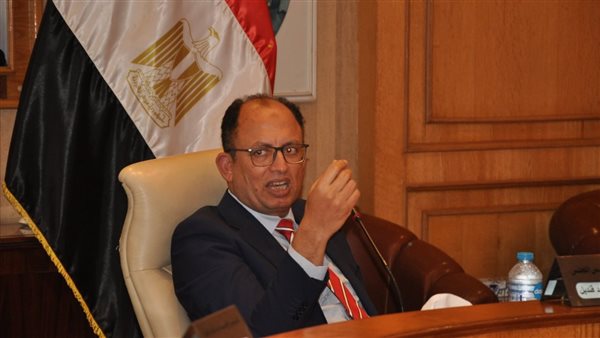 د. السيد قنديل رئيس