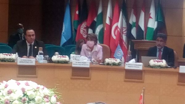 الدكتور أحمد السبكي-