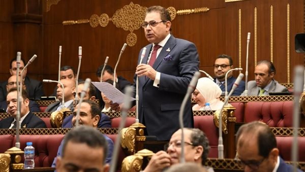 النائب فرج فتحي