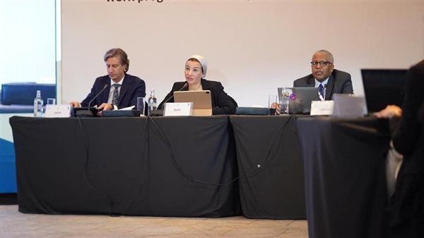 ياسمين فؤاد وزيرة