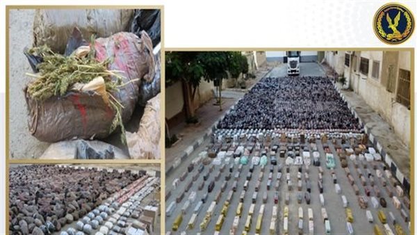 مخدر الحشيش