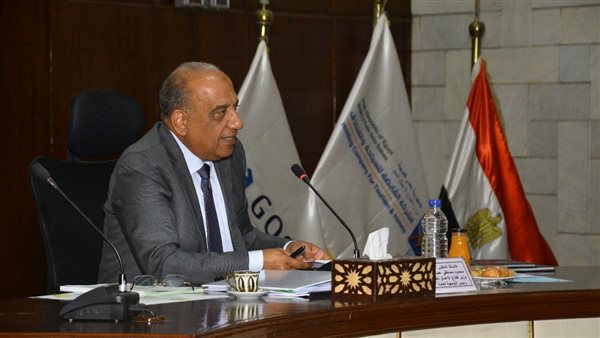 وزير قطاع الأعمال