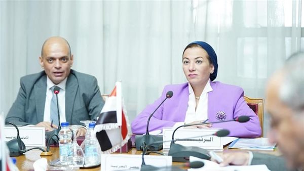 ياسمين فؤاد وزيرة