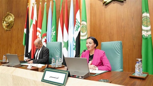 ياسمين فؤاد وزيرة