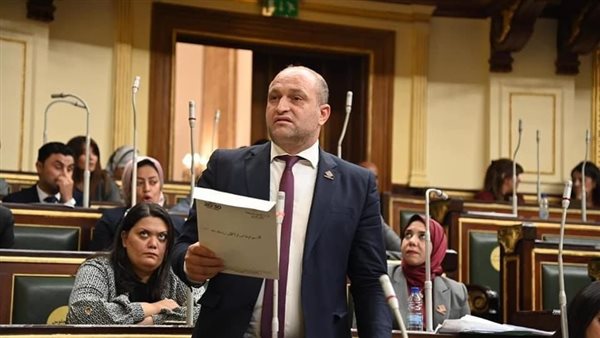 النائب أحمد رمزي