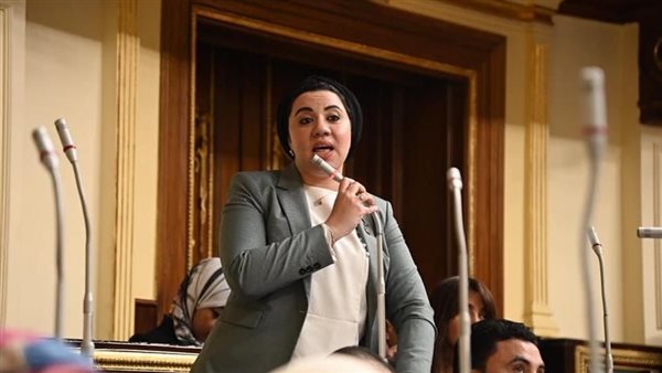  النائبة أميرة صابر