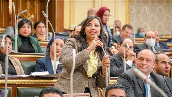 النائبة نشوى الشريف