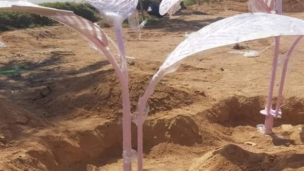 المنطقة الخضراء بشرم