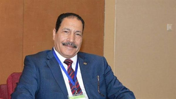 فتحي الشرقاوي 