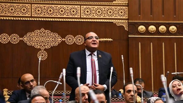 النائب عمرو عزت 