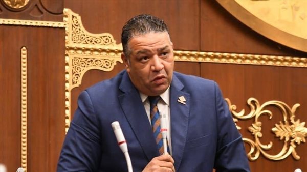 النائب محمد عزمي