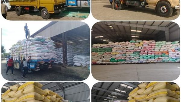 صورة ارشيفية