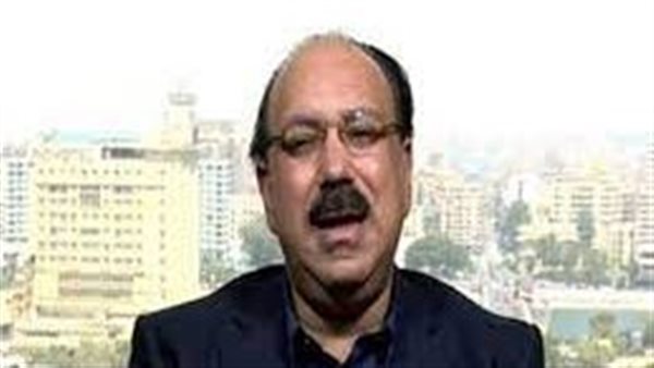 محمد عز العرب 