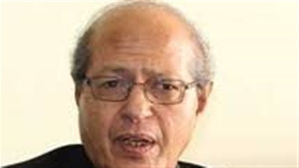 السفير رخا أحمد حسن