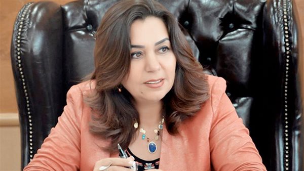 محافظ دمياط