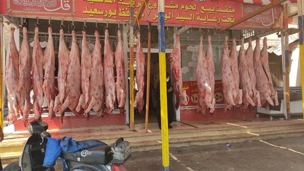 جانب من الاستعراض