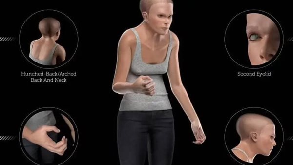 ميندي المرعبة 