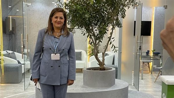 وزيرة التخطيط