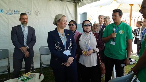 ياسمين فؤاد وزيرة