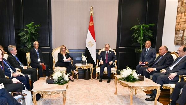 جانب من اللقاء